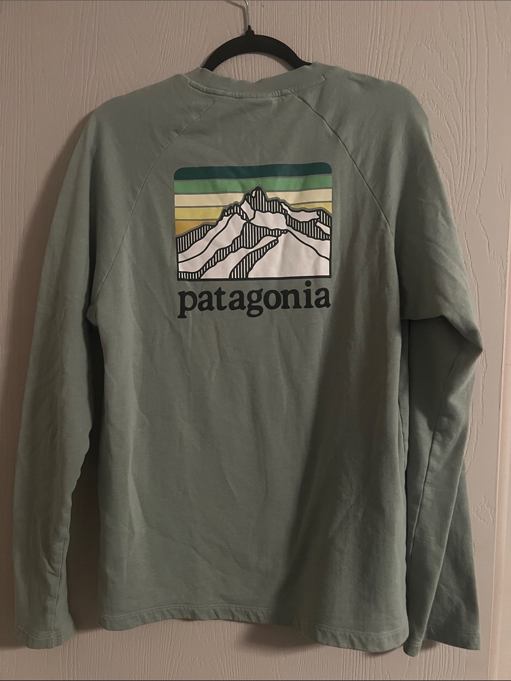 Patagonia Men's Line Logo Ridge Lightweight Crew Sweatshirt Size Medium